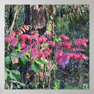 Foto-Poster für Herbstverlässe Poster