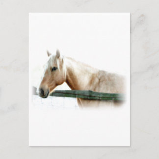 Foto Postkarte