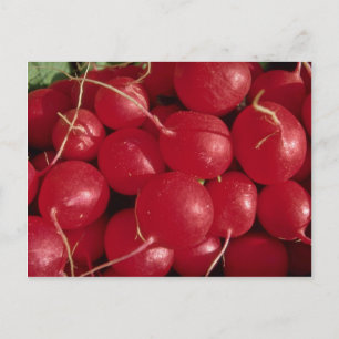 Foto Postkarte
