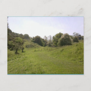 Foto Postkarte 18 Grassy Valley Track
