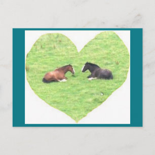 Foto Postkarte 5 Pferde Liebe - Naturschönheit