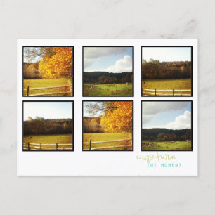 Foto-Postkarten Postkarte