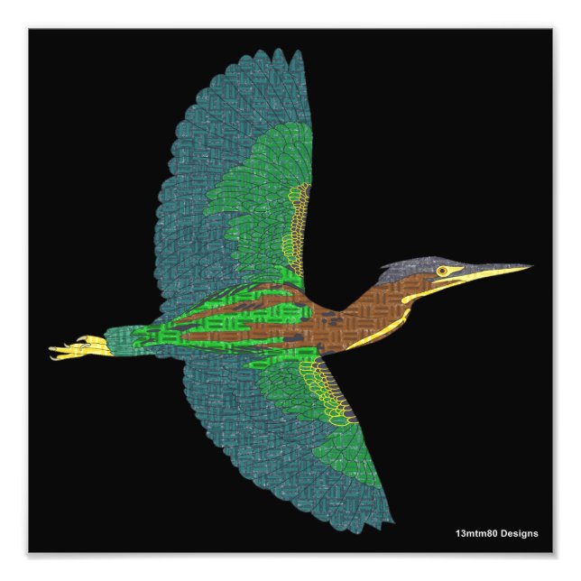 Foto Print - Grüner Heron (schwarz) (Vorne)