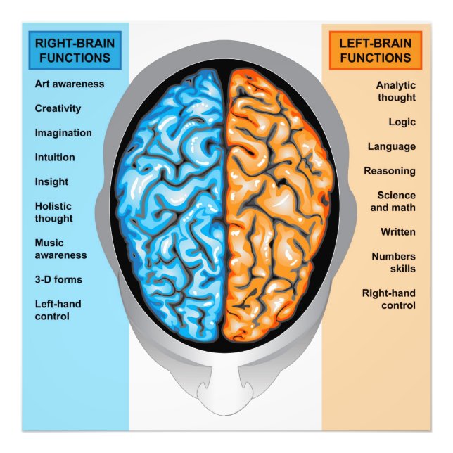 Foto Print Human brain verlassen and right functio (Vorne)