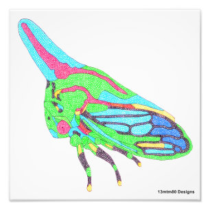 Foto Print (weiß) - Eichenbaum