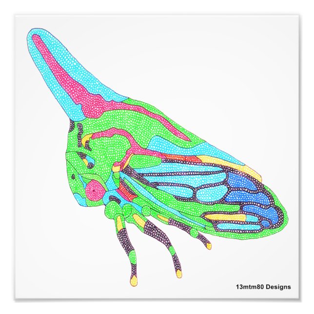 Foto Print (weiß) - Eichenbaum (Vorne)