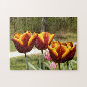 Foto-Puzzle aus Rot und Gelb Puzzle