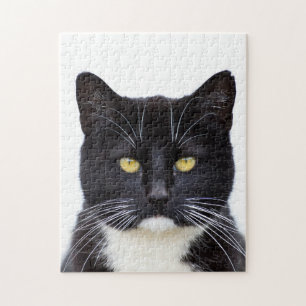 Foto-Puzzlespiel der Tuxedo-Katzen-11x14 mit Puzzle