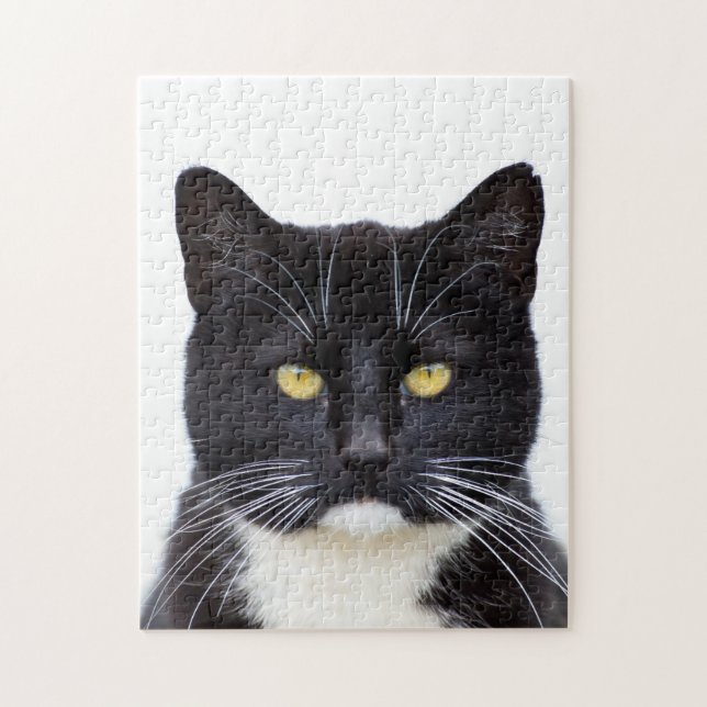 Foto-Puzzlespiel der Tuxedo-Katzen-11x14 mit Puzzle (Vertikal)