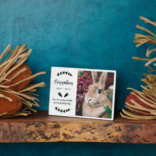 Foto-Rabbit-Gedenkstätte "White Bunny Paws Greener Fotoplatte