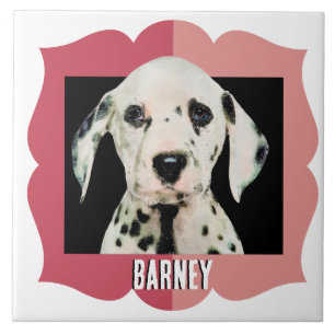 Foto-Rahmen für den Dalmatiner Fliese