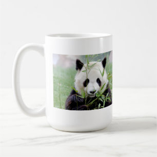 Foto Riesenpanda. Panda Geant. Kaffeetasse