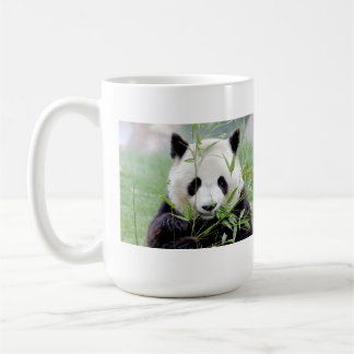 Foto Riesenpanda. Panda Geant. Kaffeetasse