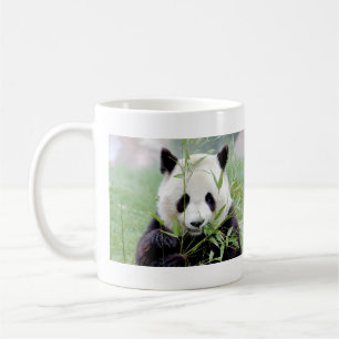 Foto Riesenpanda , Tiere 0004. Kaffeetasse