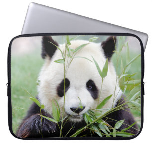 Foto Riesenpanda , Tiere Laptop Hüllen. Laptopschutzhülle
