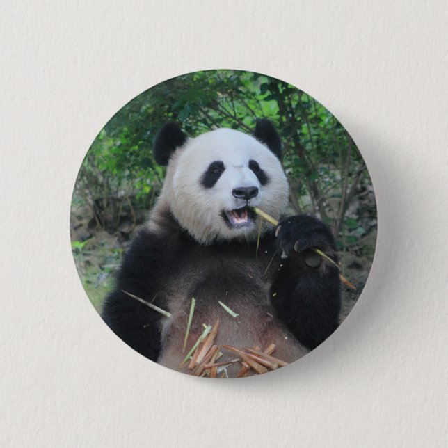 Foto Riesiger Panda Button (Vorderseite)
