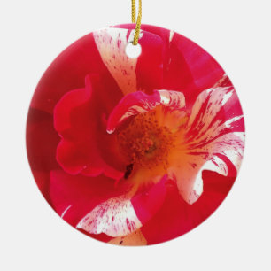 Foto Rosa und Weiß Keramik Ornament