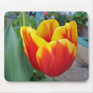 Foto Rot-Gelb-Tulip Mousepad