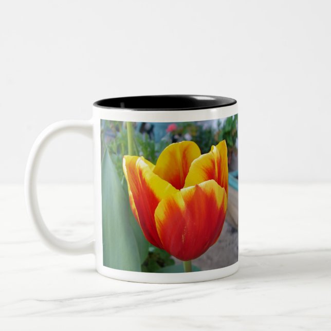Foto Rot-Gelb-Tulip Zweifarbige Tasse (Links)