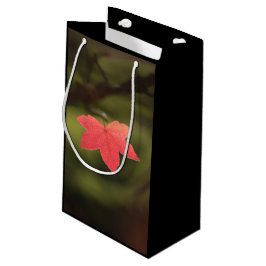 Foto Roter Ahornblätterblättern Kleine Geschenktüte