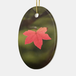 Foto "Roter Herbst" Keramik Ornament