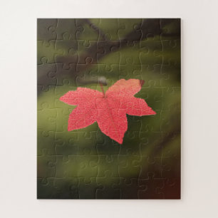 Foto "Roter Herbst" Puzzle