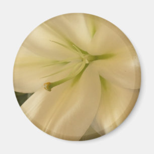 Foto "Runder Lillum Blume" Magnet