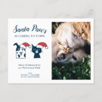 Foto | Santa Paws | Cat Dog Christmas