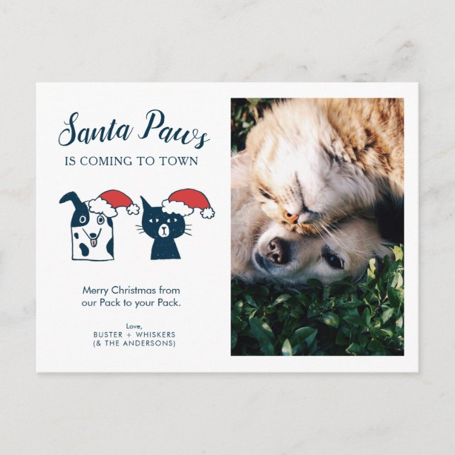 Foto | Santa Paws | Cat Dog Christmas Feiertagspostkarte (Vorderseite)