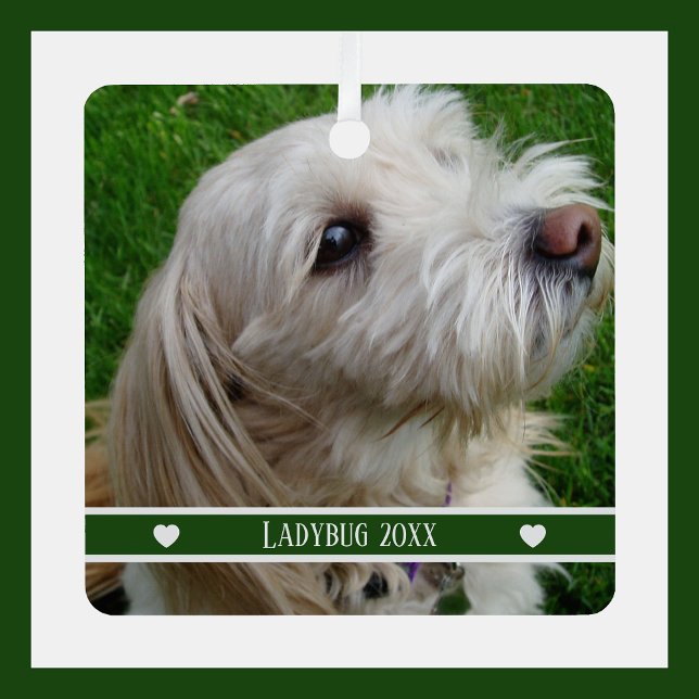 Foto-Schmuckstück mit individuellem Namen und Jahr Ornament Aus Metall (Von Creator hochgeladen)