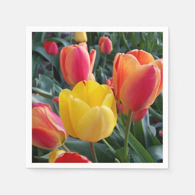 Foto Serviette (Vorderseite)