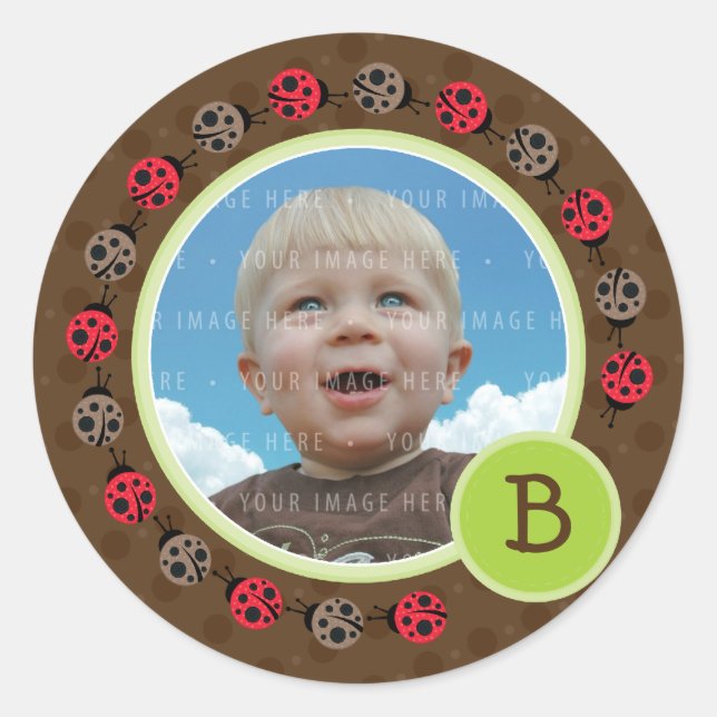FOTO SIEGEL: Ladybird Kreis 3 Runder Aufkleber (Vorderseite)