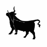 Foto-Skulptur der Stier-Konstellations-/Tierkreis Freistehende Fotoskulptur<br><div class="desc">Tierkreis-Reihe #11 - Stier das Bull.</div>