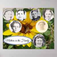 Foto Sonnenblumen und Bienen
