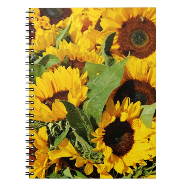 Foto Spiral Notebook Gelbe Sonnenblumen Notizblock (Vorderseite)
