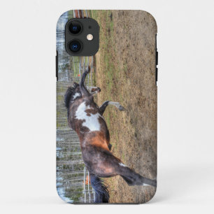 Foto "Spirale Pinto Stallion Equine Action" Case-Mate iPhone Hülle