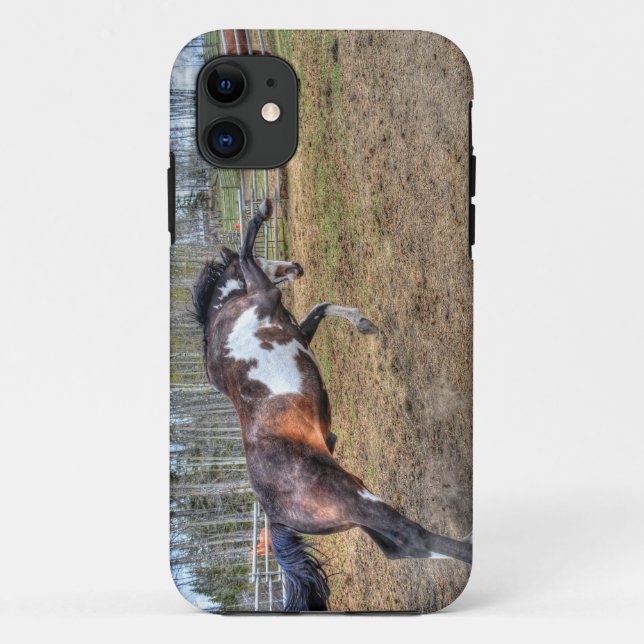 Foto "Spirale Pinto Stallion Equine Action" Case-Mate iPhone Hülle (Rückseite)