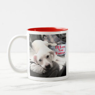 Foto Super Niedlicher Welpen Hund ewig Liebe Rot Zweifarbige Tasse