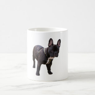 Foto-Tasse der französischen Bulldogge schöne Tasse