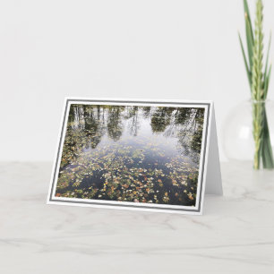 Foto-Teich mit Blätter und Baumreflektionen Karte