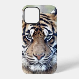 Foto , Tiere , Tiger , Tiger . Case-Mate iPhon iPhone 12 Pro Hülle