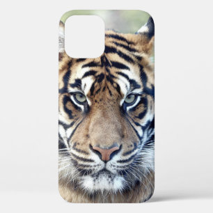 Foto , Tiere , Tiger , Tiger . Case-Mate iPhon iPhone Hülle