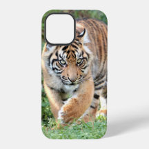 Foto , Tiere , Tiger , Tiger . Case-Mate iPhon