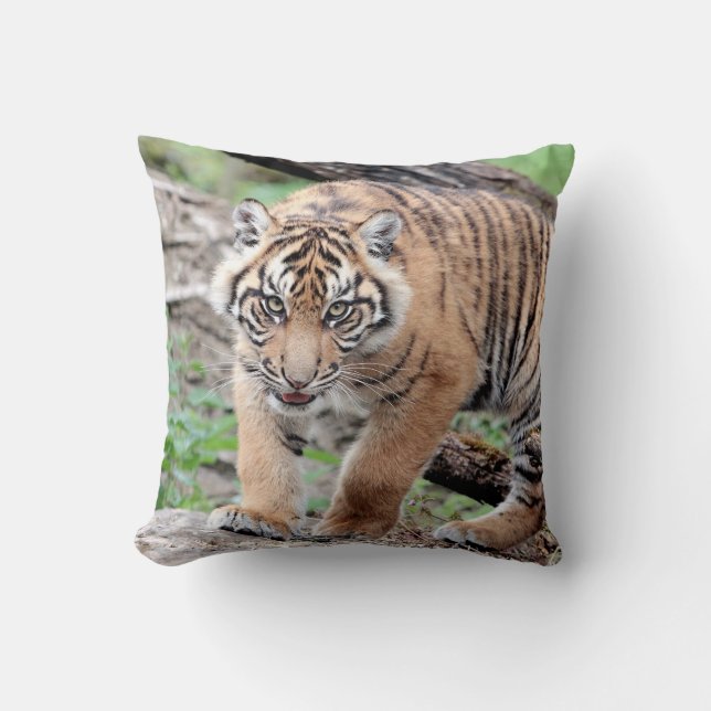 Foto Tiger, Tiere 0287. Kissen (Vorderseite)