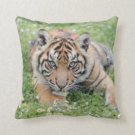 Foto Tiger, Tiere 0287. Kissen