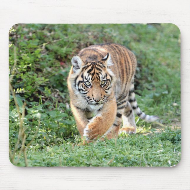 Foto Tigerkatzen Mousepad (Vorne)