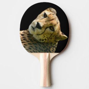 Foto Tischtennis Schläger