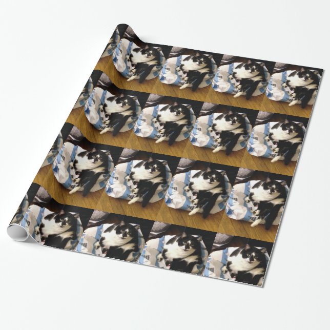 Foto Tuxedo Cat auf Weihnachtswrapping Paper Geschenkpapier (Ungerollt)