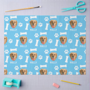 Foto und Name Blau für Hunde Seidenpapier
