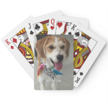 Foto und Name des Tieres oder des Kindes